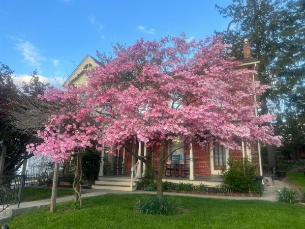 Brickhouse Inn B&B image 11